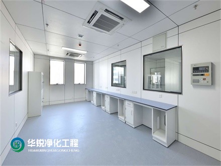 1691887553106212.jpg 18.jpg